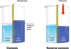 75 100 150 180 200 220 400 600 800 GPD RO Membrane For Under Sink Filter System Reverse Osmosis Membrane RO water filter