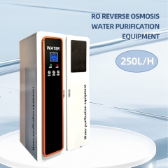 Industrial RO reverse osmosis water filter water output 0.25T/H Healthy Water Drinking Machine Highly efficient bacteria removal RO REVERSE OSMOSISWATER PURIFICATION EOUIPMENT Multi stage filtered water for direct drinking Water Purification Equipment