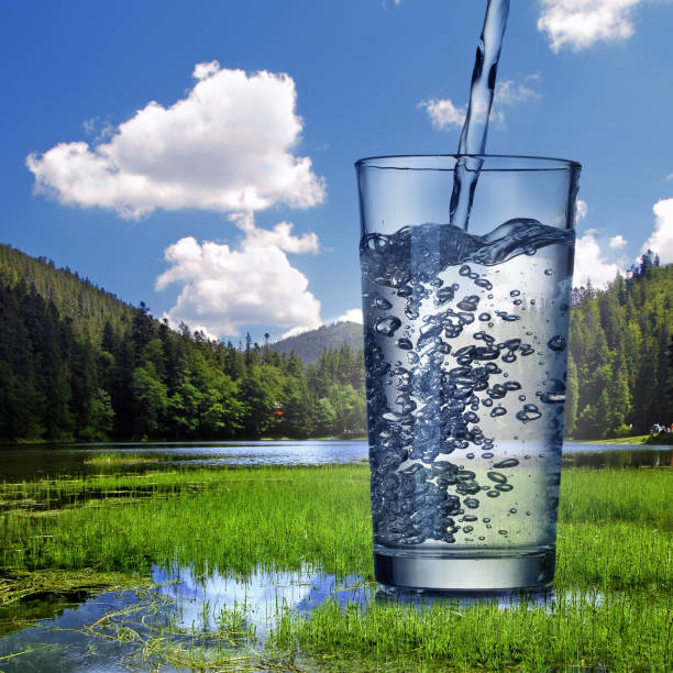 Want to drink straight from the river on an outdoor trip? These water filtration and purification products are here to help